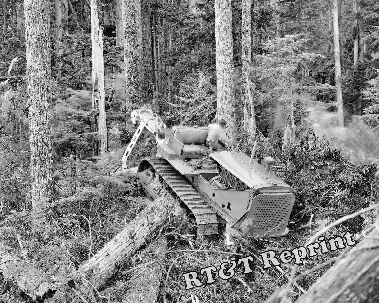Comox Logging Caterpillar Tractor Photo Vancouver Canada Year 1939  8x10