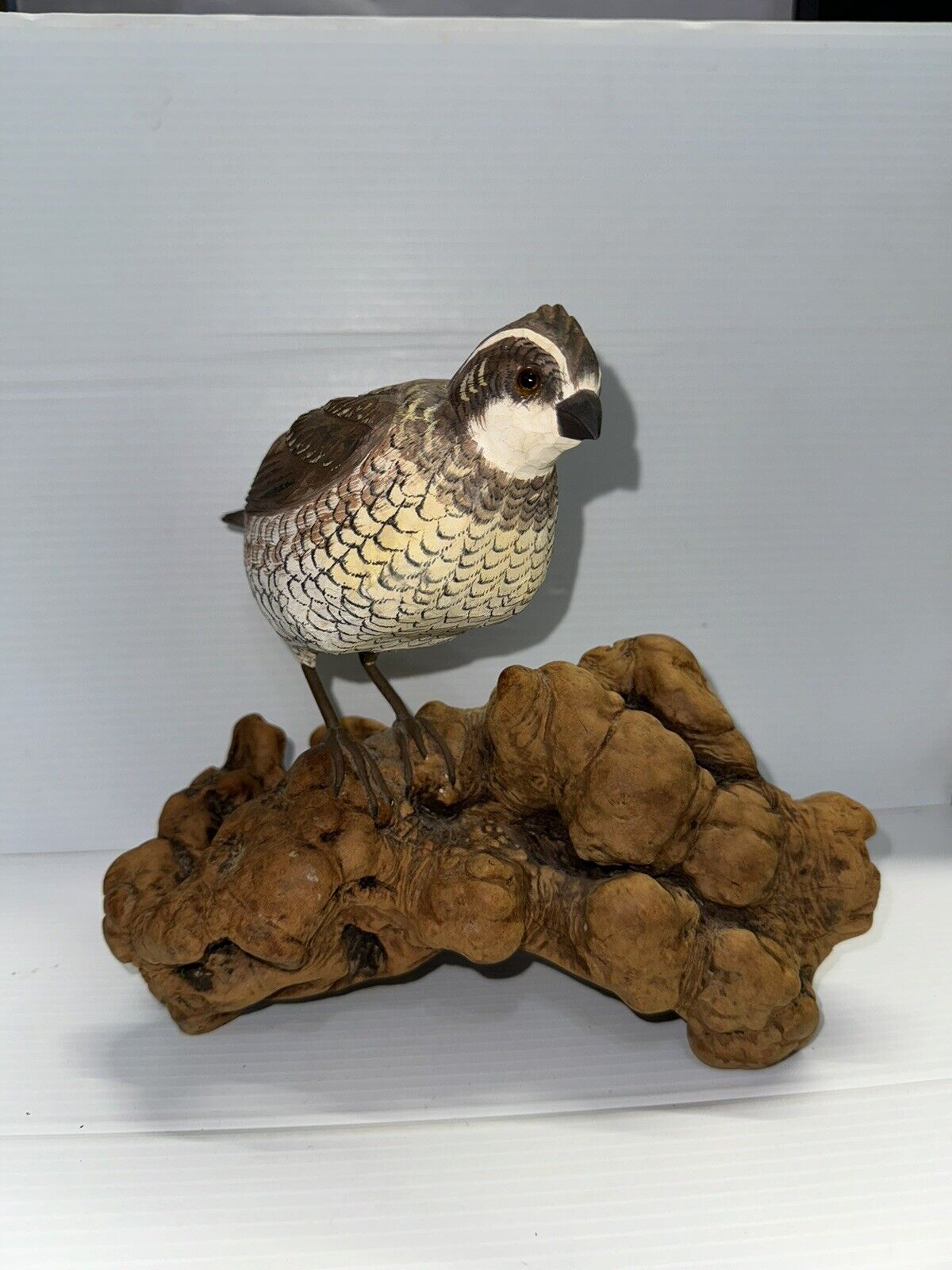 Large Hand Carved & Painted Bird/Quail On Large Burl Wood 9”Lx 8” Wide 5” Deep