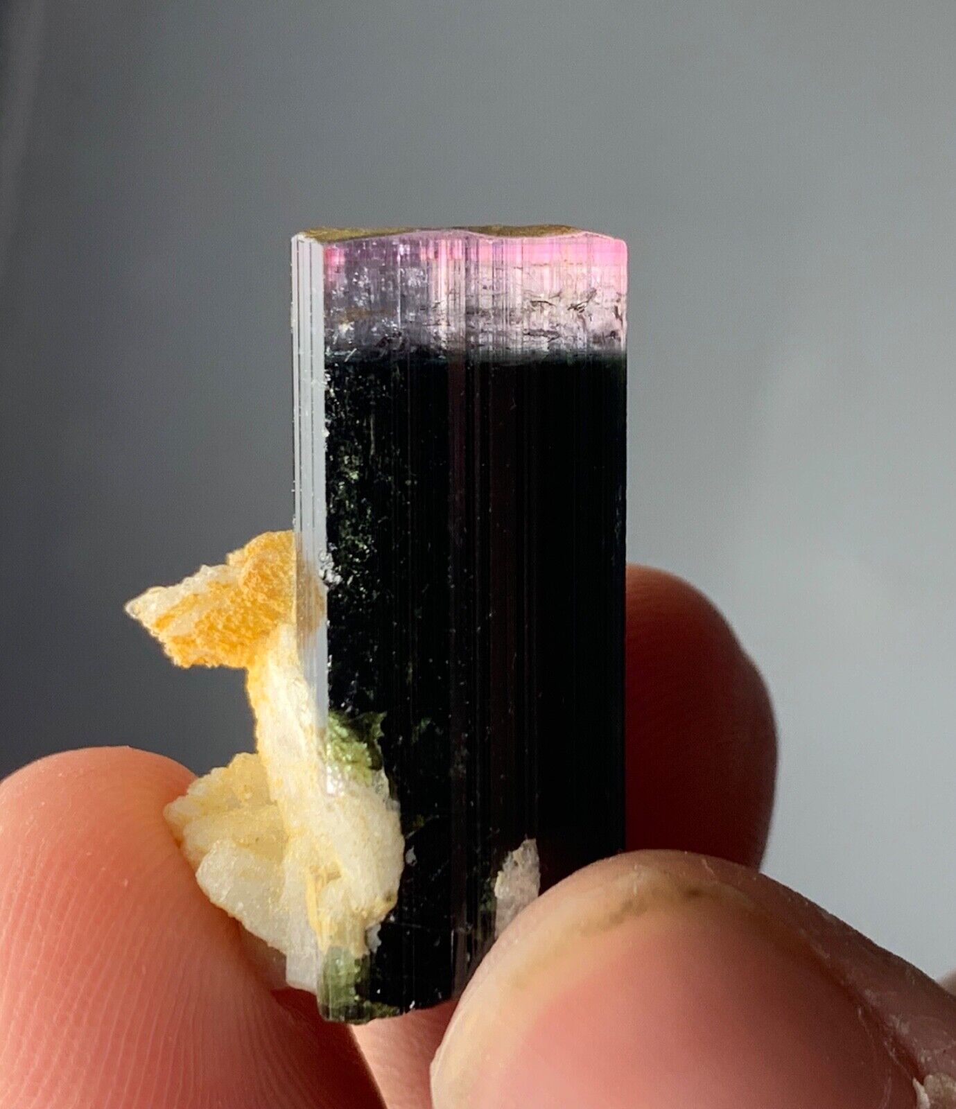 51 CTS Pink Cap Tourmaline Crystal  From Afghanistan