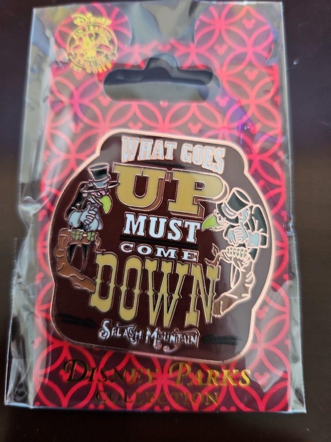 Disney Splash Mountain What Goes Up Must Come Down Pin New Attraction Ride Pin