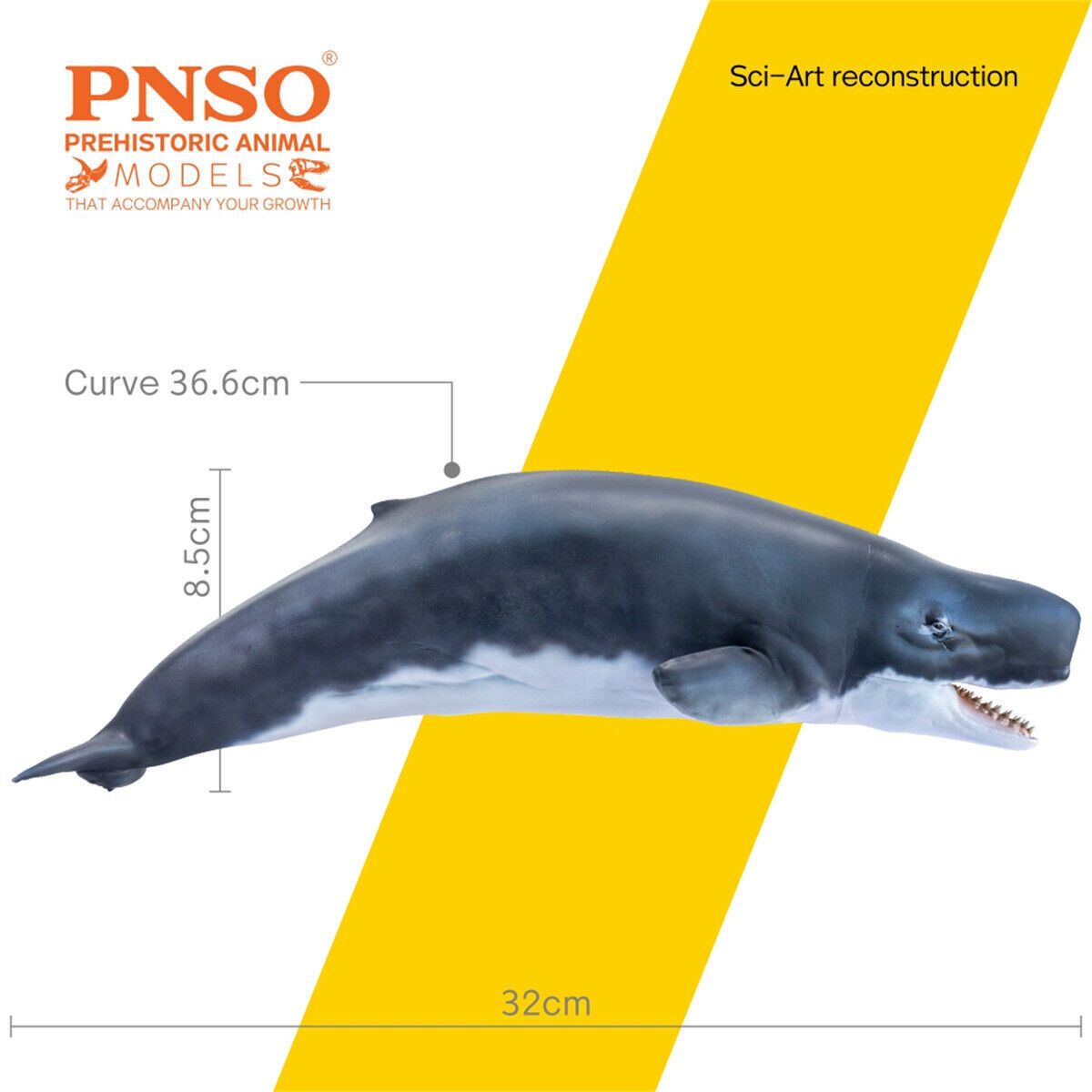 PNSO Livyatan Requena Model Prehistoric Physeteridae Cetacea Animal Figure Gift