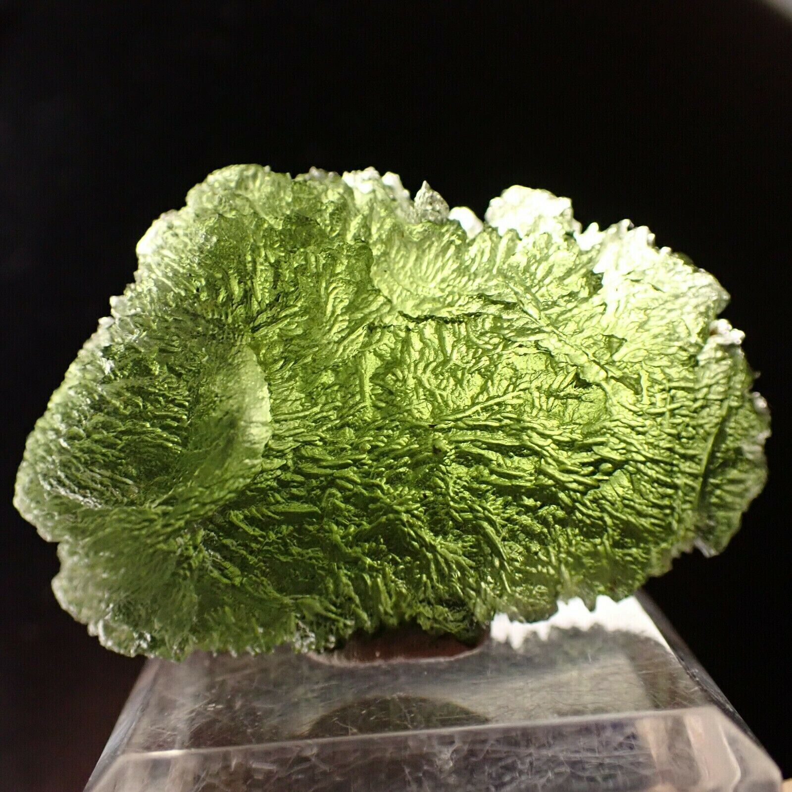Natural Moldavite Green Aerolites Czech Meteorites Crystal Energy Apotropaic 1PC