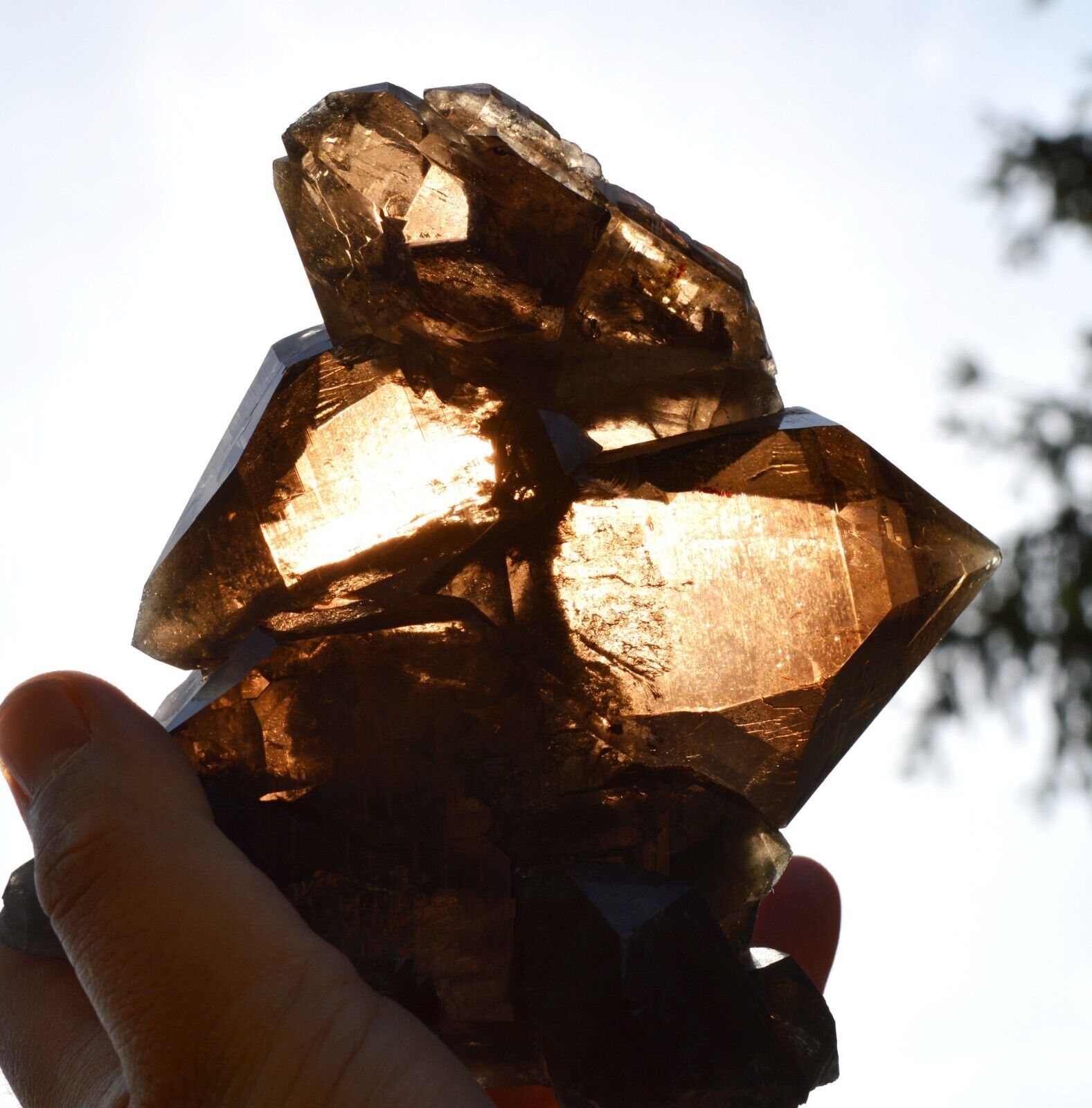 Smoked quartz 1288 grams - Mont Blanc Massif, Auvergne-Rhône-Alpes, France