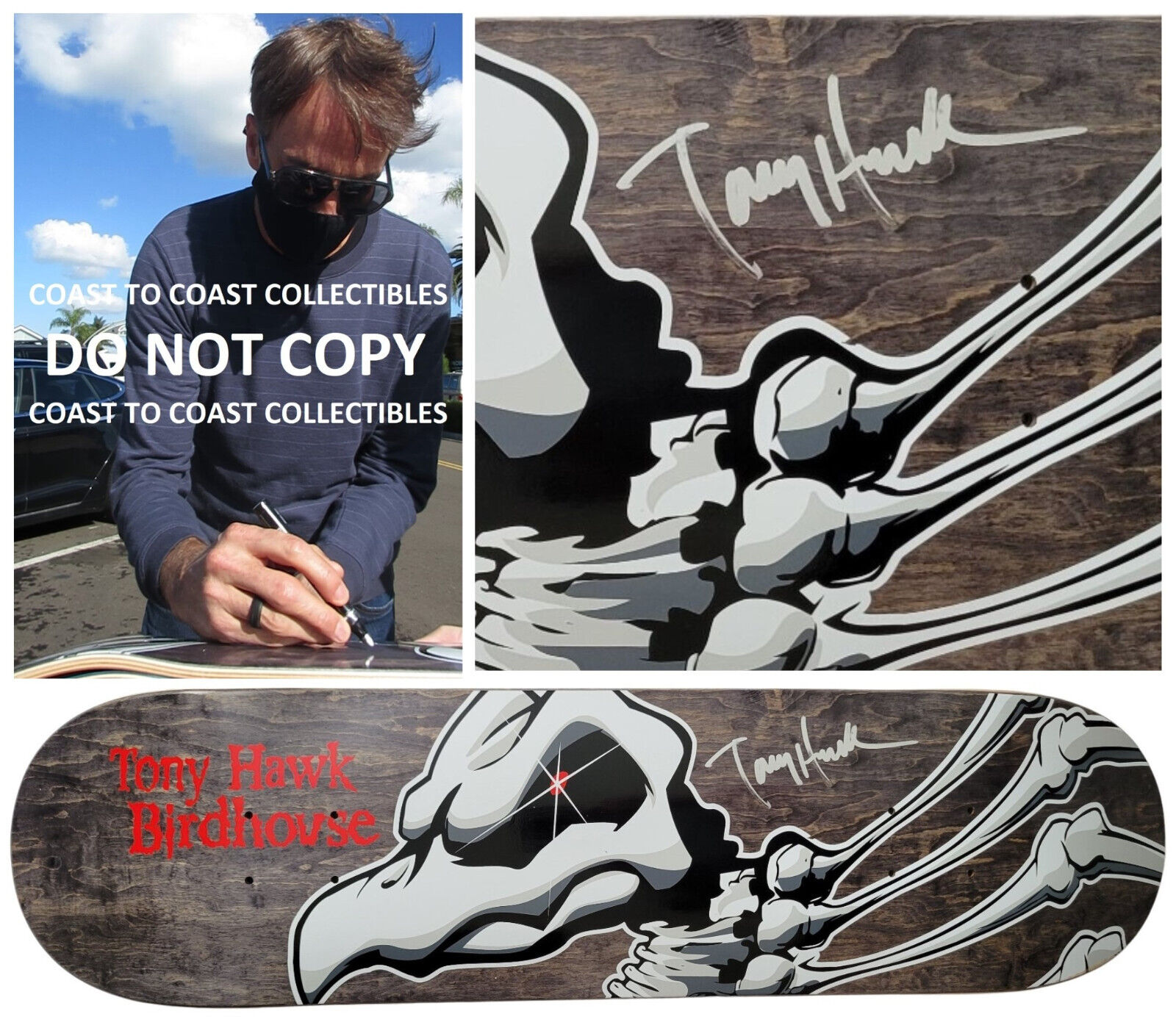 Tony Hawk signed Birdhouse skateboard Deck exact proof COA autographed=