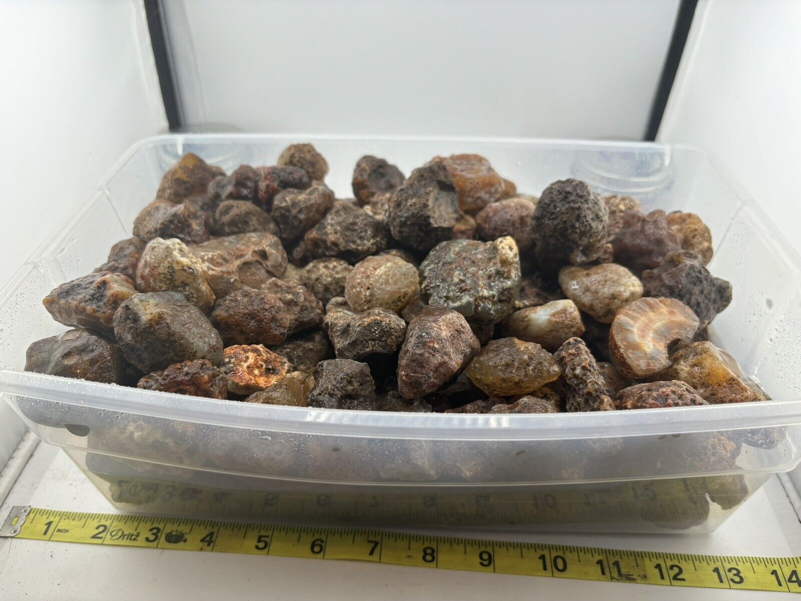 ROCK DADDY SPECIAL- 10 Pounds of Malawi Agate Nodules.  Rough Full Skin Nodules.