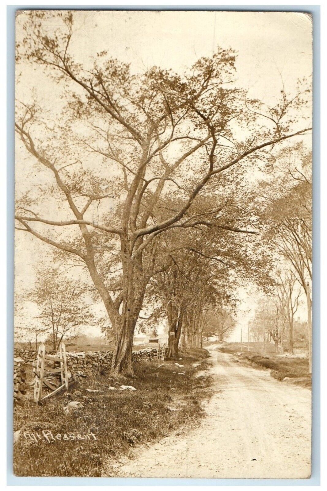 1911 Dirt Road Scene Mt. Pleasant Newtown Connecticut CTRPPC Photo Postcard
