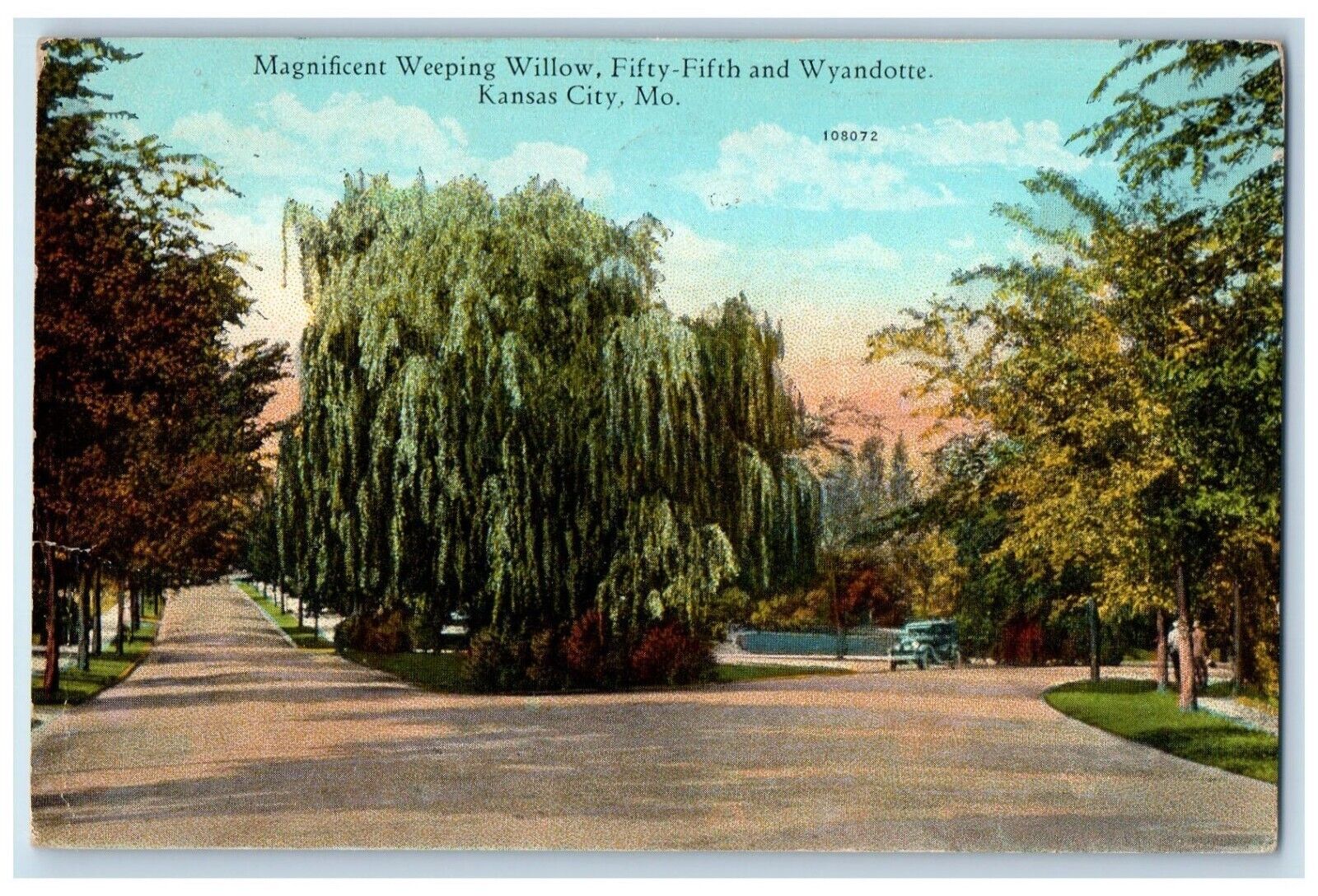 1928 Magnificent Weeping Willow Fifty Fifth Wyandotte Kansas City MO Postcard