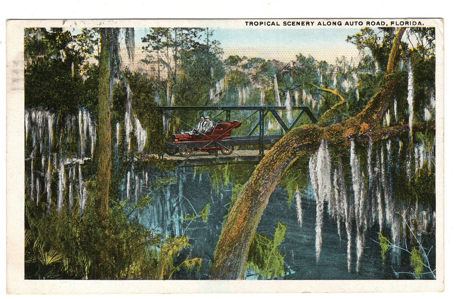 Postcard  FL Tropical Scenery Along Auto Road Classic Car ca. 1915 Antique
