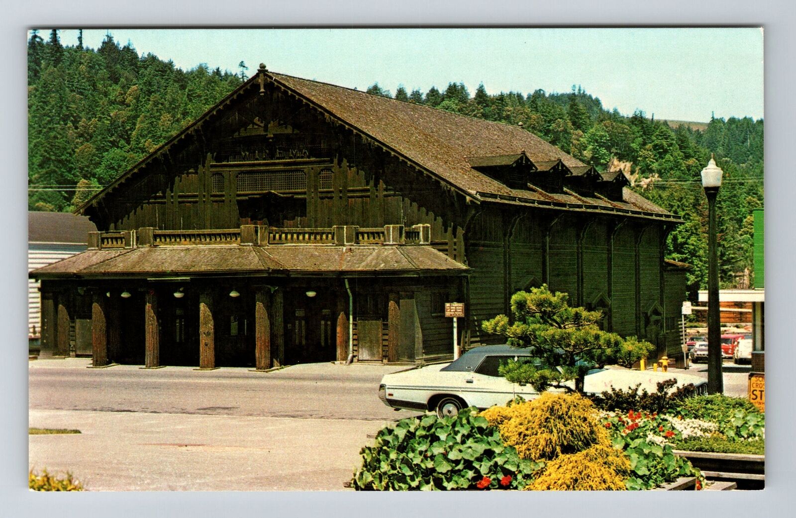 Scotia CA-California Redwood Theater Classic Cars Vintage Souvenir Postcard