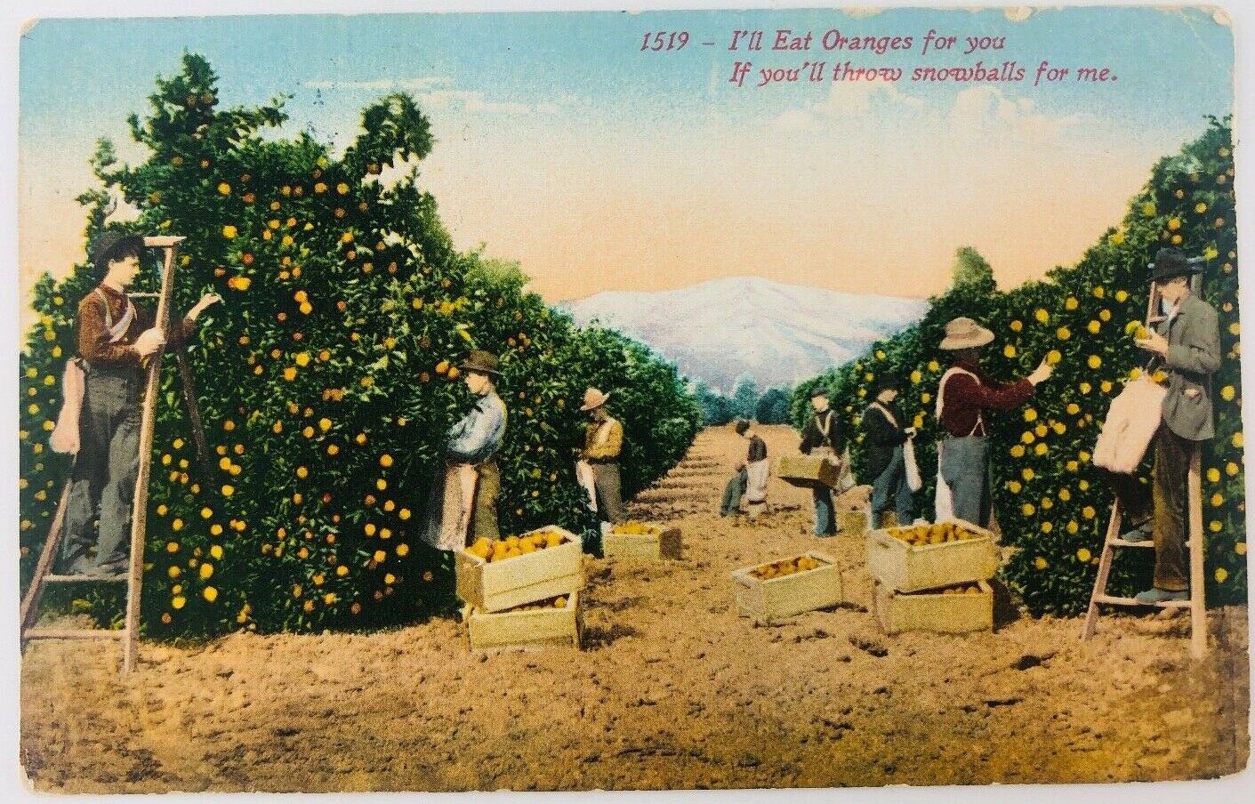 Vtg I\'ll Eat Oranges for You If You Throw Snowballs 1913 Orchard Mountains