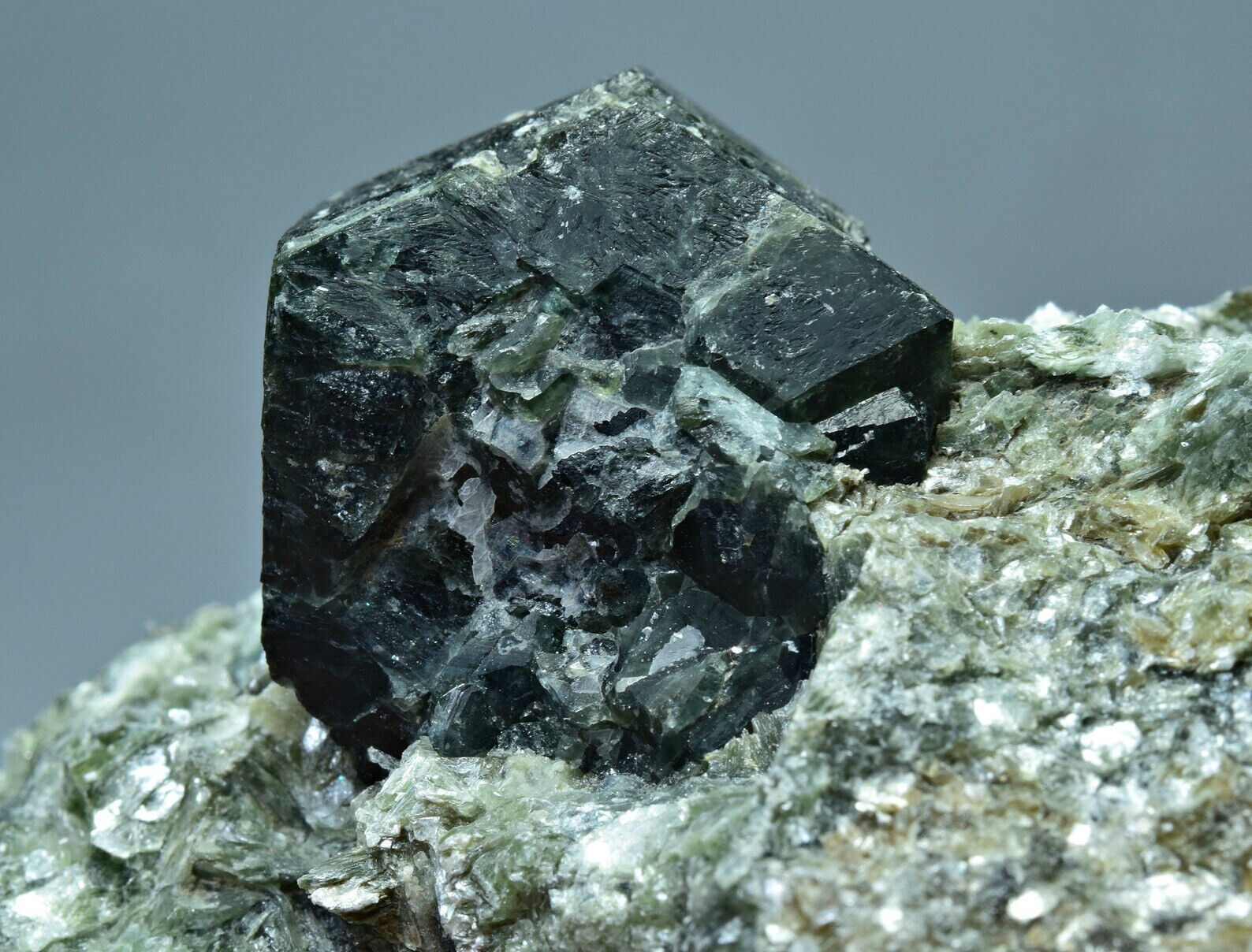 Rare Terminated Dravite Tourmaline Crystal With Sapphire On Green Mica 500 Gram