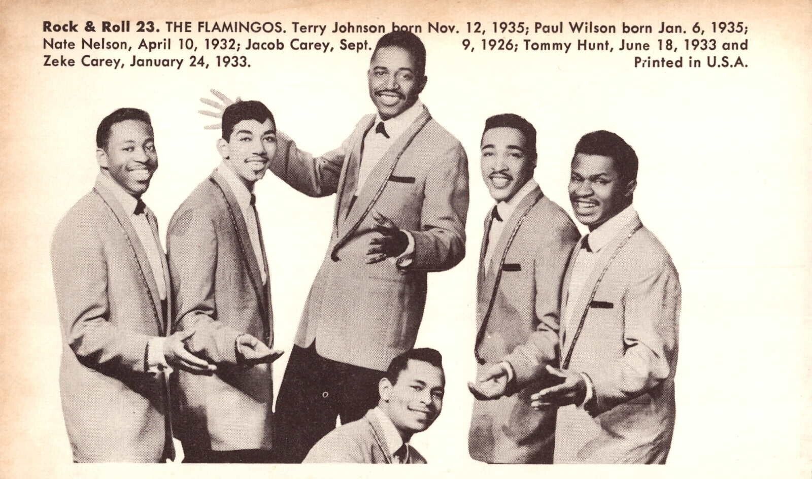 The Flamingos #23 Rock & Roll Exhibit Vintage 1959 Arcade Card Postcard Size