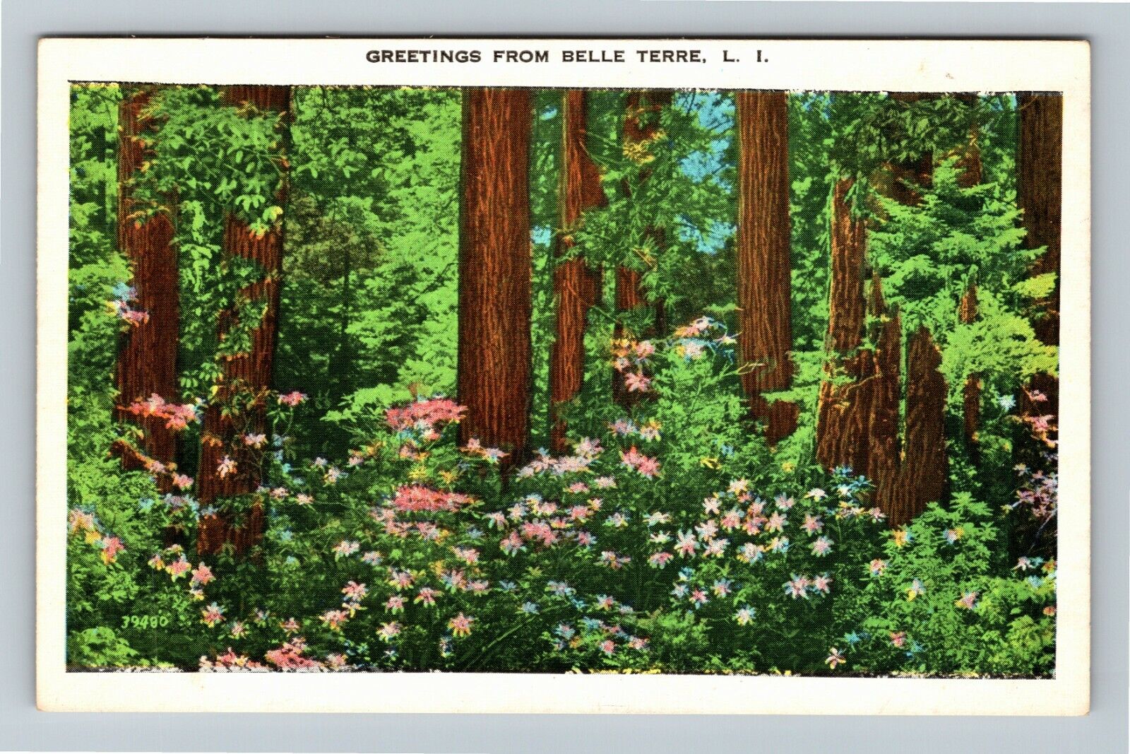 Belle Terre LI NY, Scenic Greetings, New York Vintage Postcard