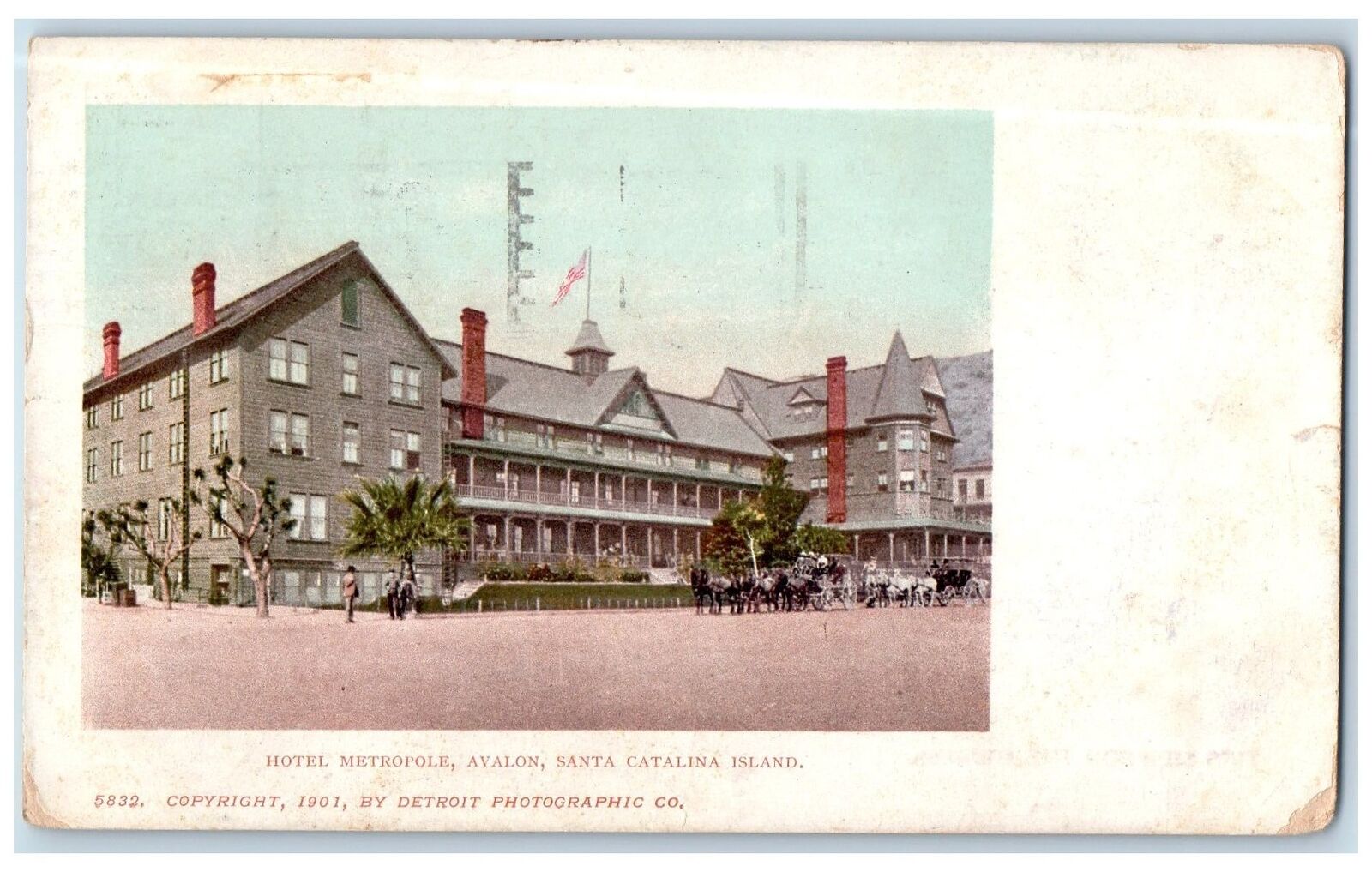 1911 Hotel Metropole Avalon Horse Carriage Santa Catalina Island CA Postcard