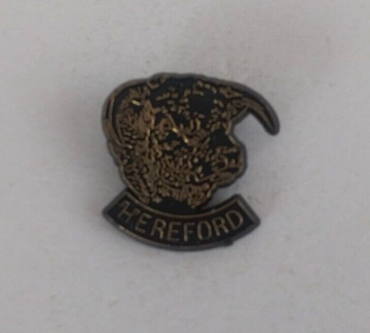 Vintage Hereford Black & Gold Tone Plastic Lapel Hat Pin