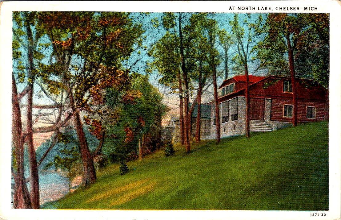 Chelsea, MI Michigan  NORTH LAKE HOMES  ca1920's Burg's Drug Store Postcard