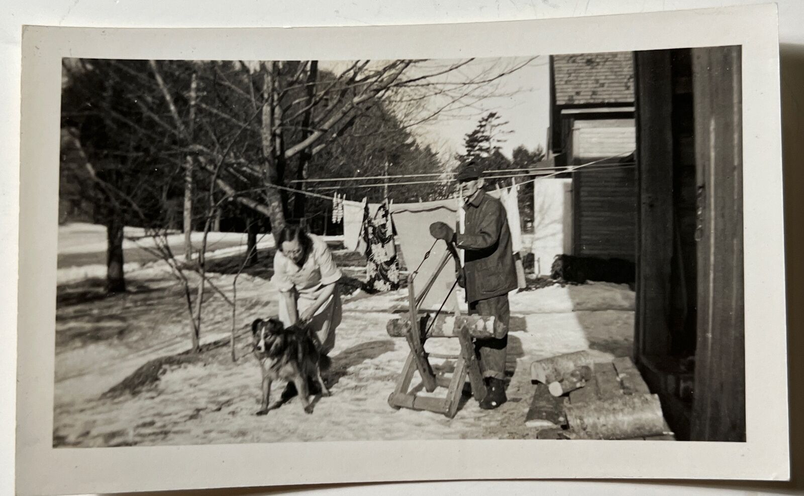 1950s SHELTIE DOG with Woman MAN sawing Logs Clothesline vintage Photo Snapshot