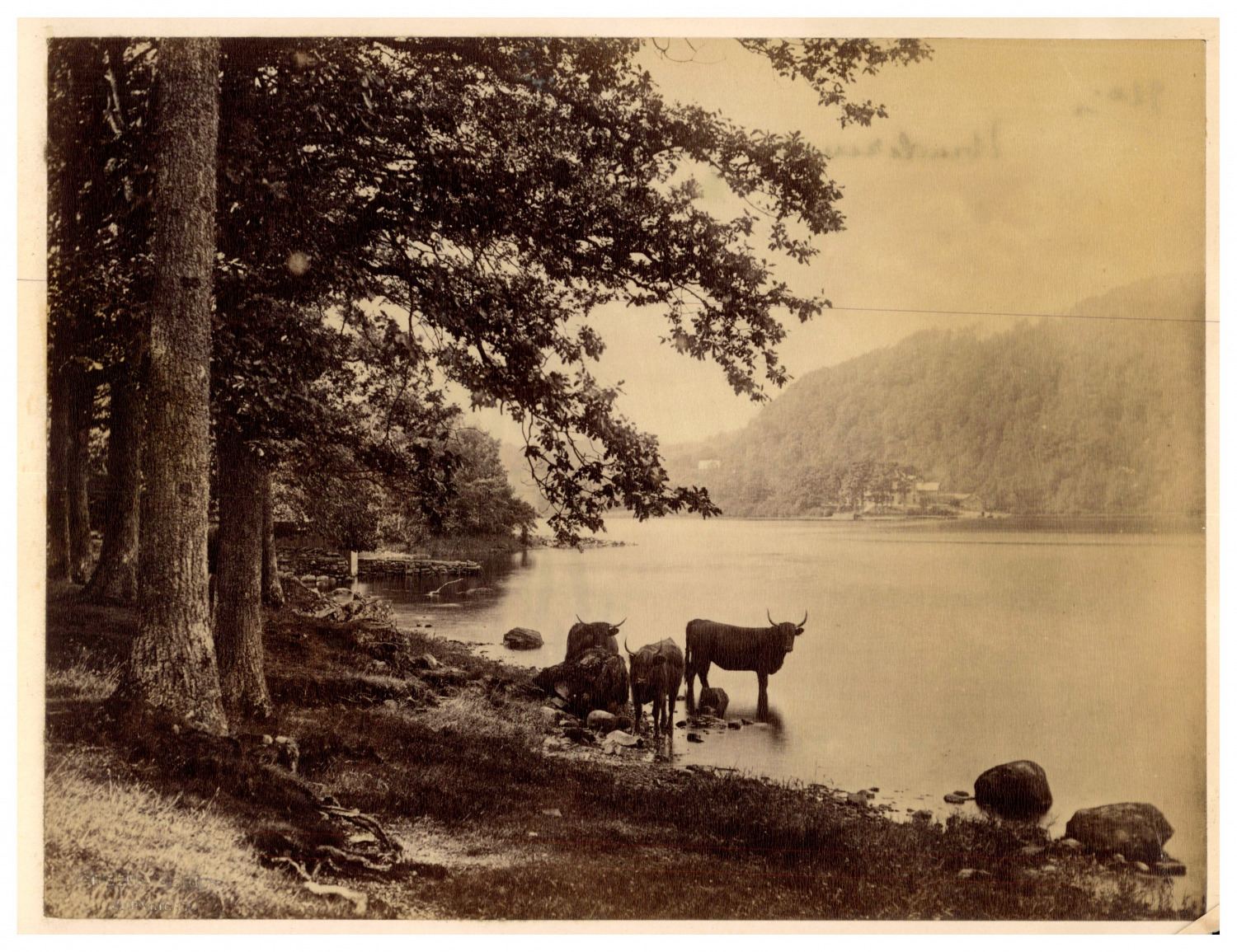 England, Lake District, Cumbria Vintage Print, Albumin Print 16.5x21.5 