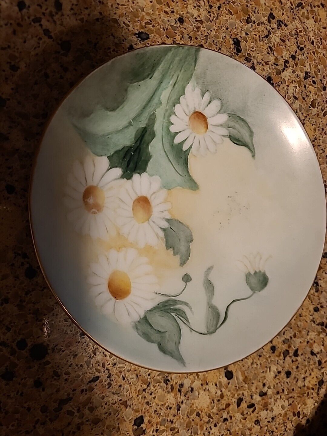 Vintage Hand Painted Classic Bavarian Porcelain Floral Plate Gold Trim Signed.