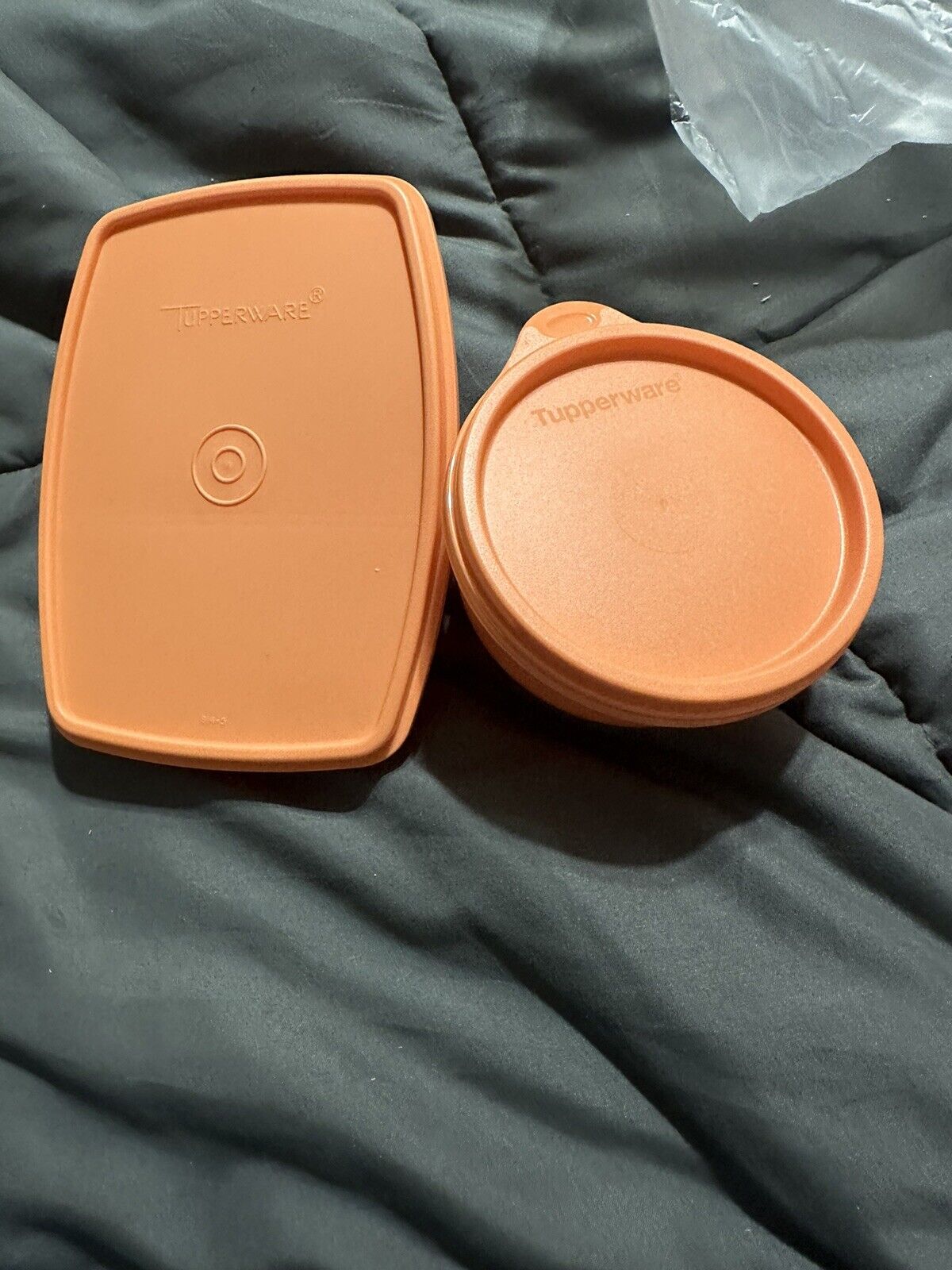 Tupperware Lunch-it Container Set Coral 550ml/18oz w/ Bowl New