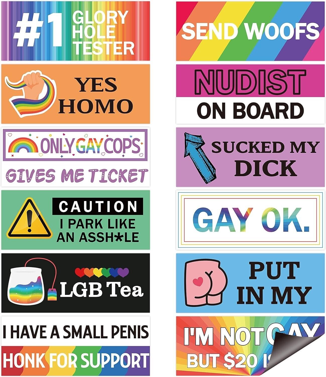 12Pcs Funny Gay LGBT Prank Bumper Stickers Rainbow Car Magnetic Bumper Decals Pr