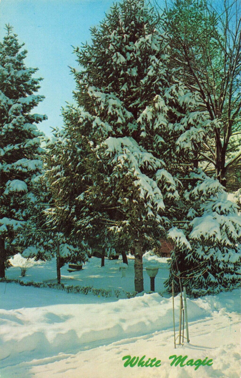 Manchester NH New Hampshire, White Magic Snowy Winter Scene, Vintage Postcard