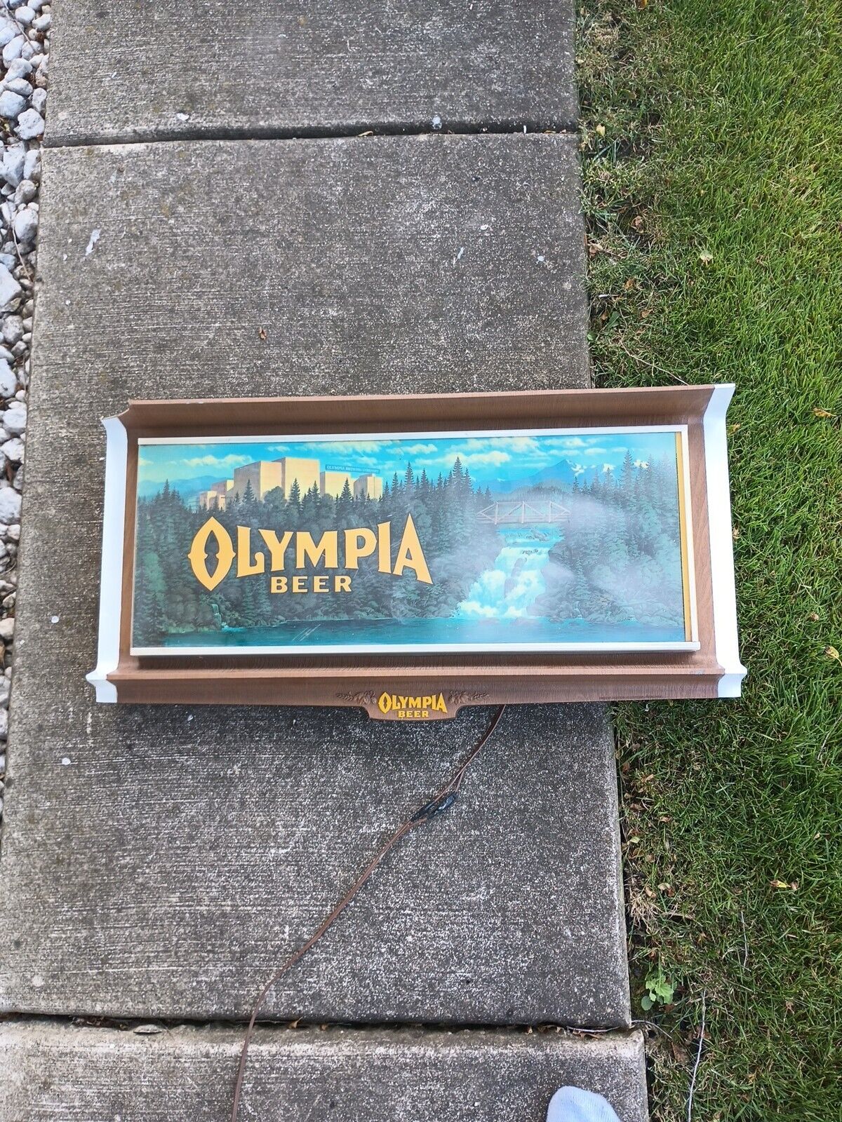 Rare Vintage Olympia Beer Light-Up Wall Sign WORKS Breweriana  Bar Advertising 
