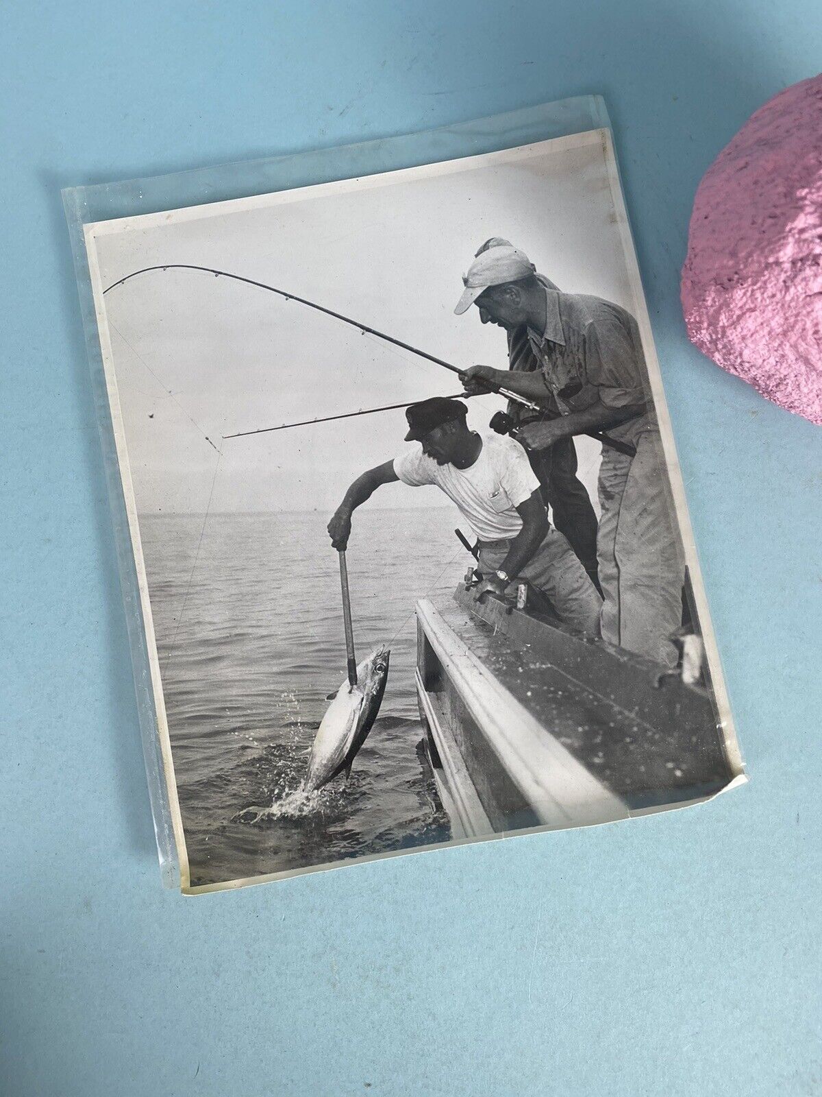 Balboa Angling Club 1950s Fishermen Catching Fish At Sea Photo