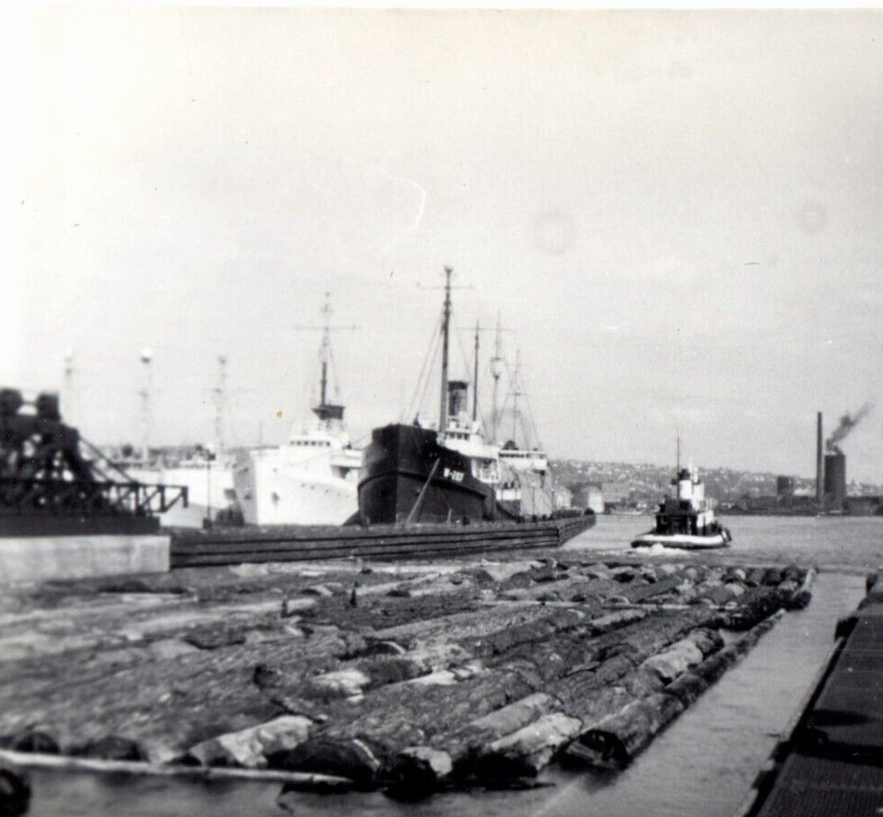 Shipyard Logging Photograph Vintage Photo Harbor Big Ships