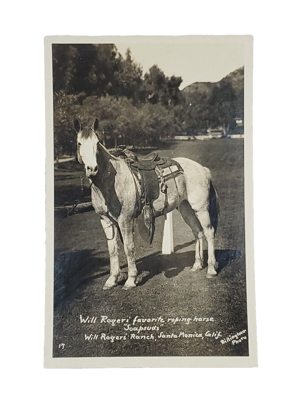 1939-1950 EKC RPPC: Will Roger\'s Favorite Horse \