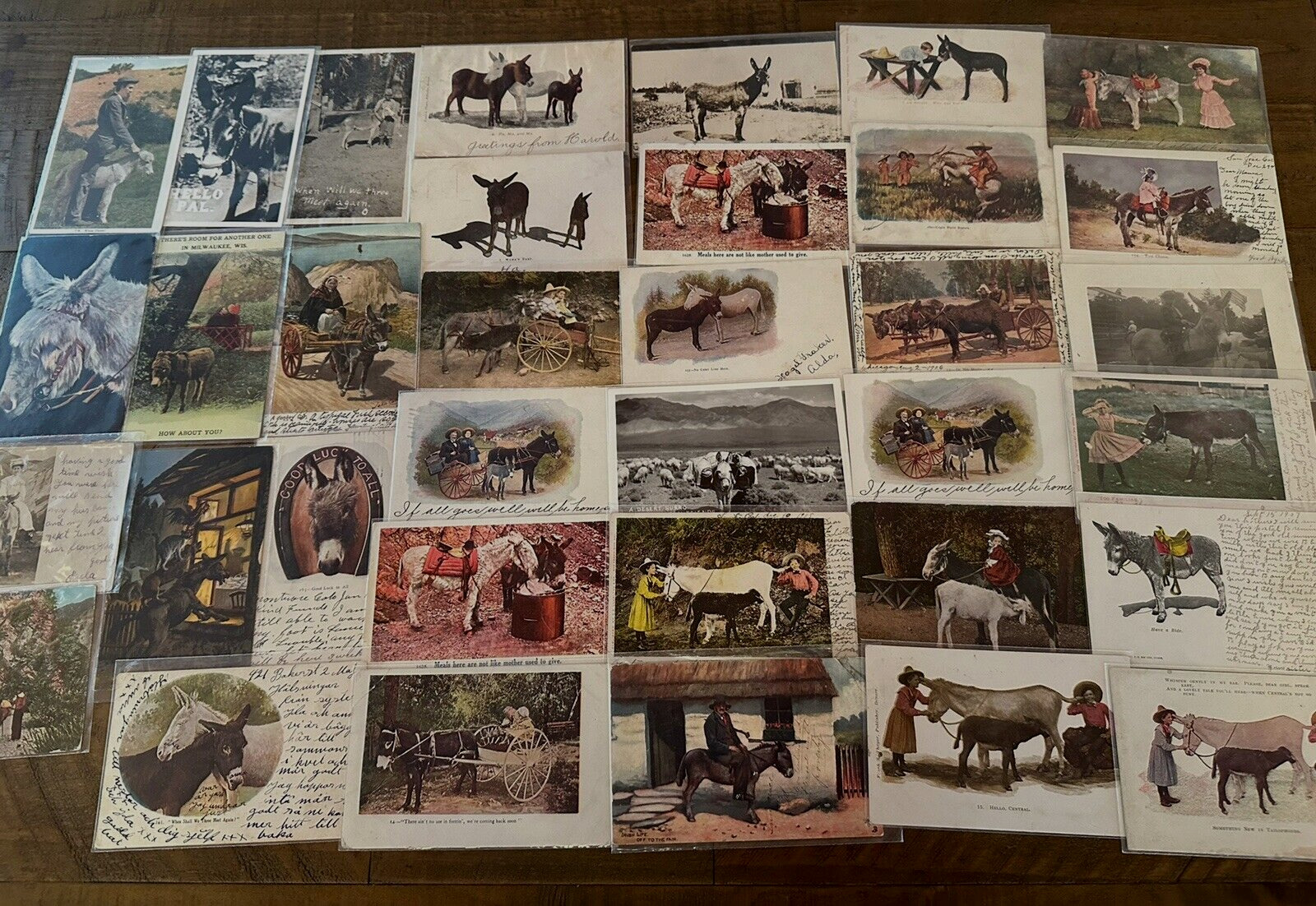 Lot of 36 ~Antique ~1900\'s Animal Postcards with DONKEYS Mules~ BURROS~h652