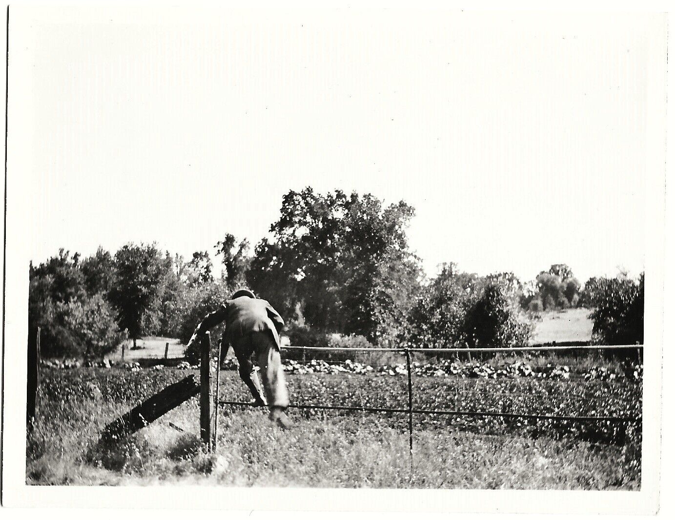 Vintage Old 1930's Abstract Photo of Man Jumping over Metal Rod Fence in Field 