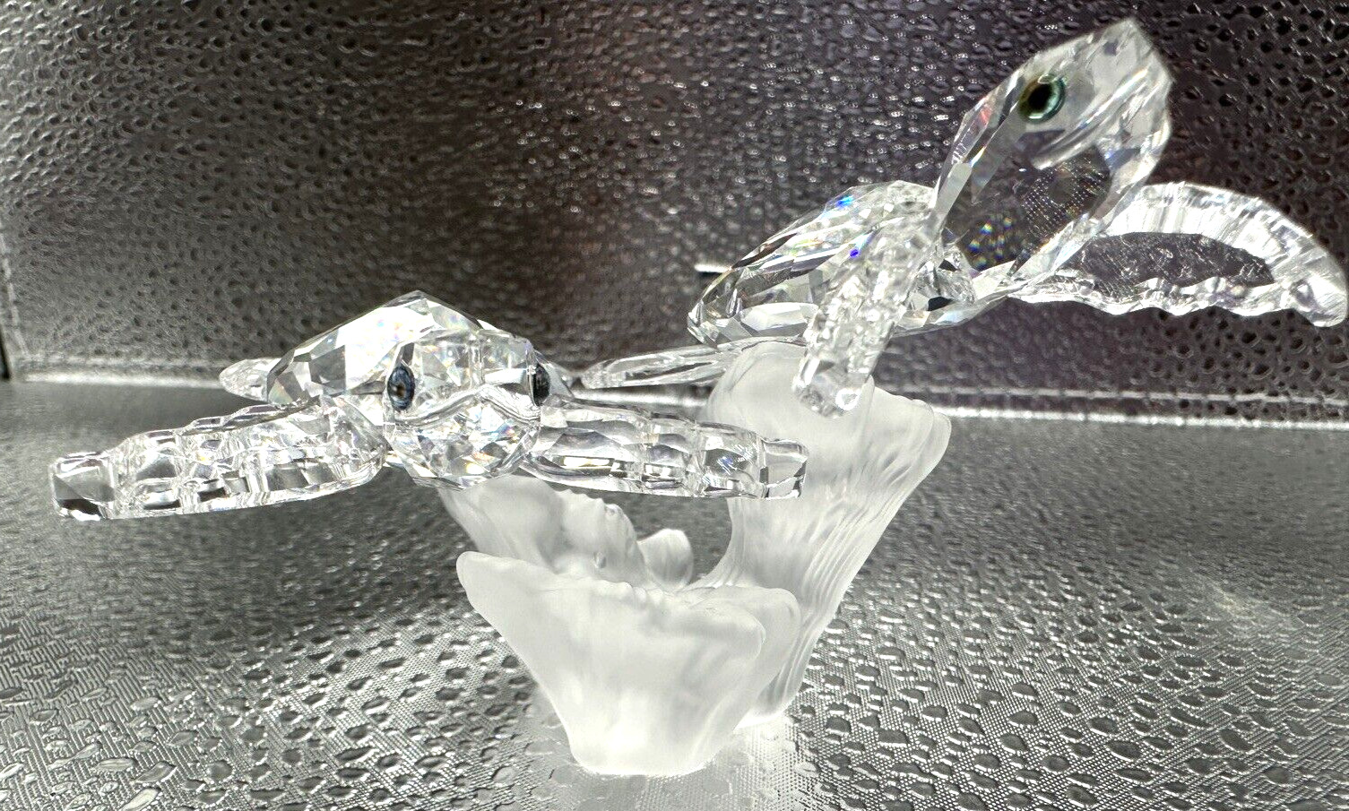 Swarovski Crystal Double Baby Sea Turtles Figurine #826480 Austria Mint