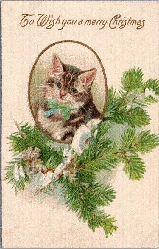 Vintage 1907 MERRY CHRISTMAS Embossed Postcard Tabby Kitten Cat / Pine Bough