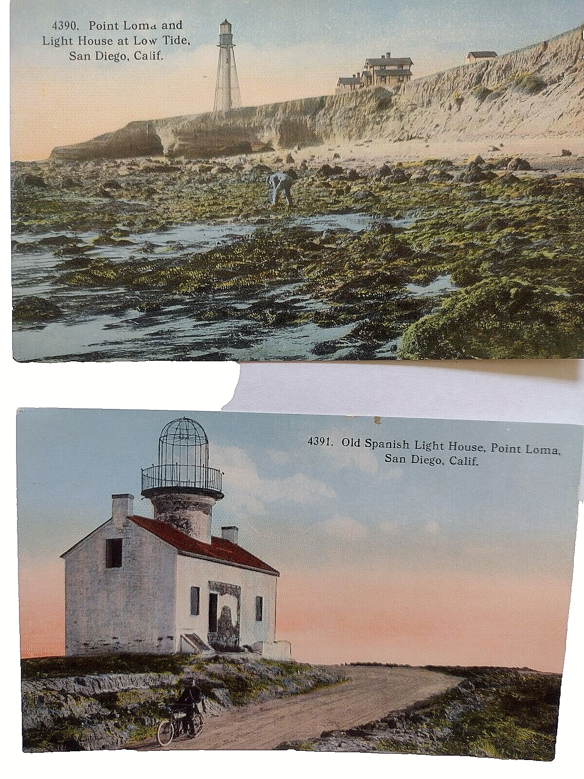 (10) San Diego 1915 Pan.Calif.. Intern.Expo. Postcards, -Unused, color, L.L. Eno