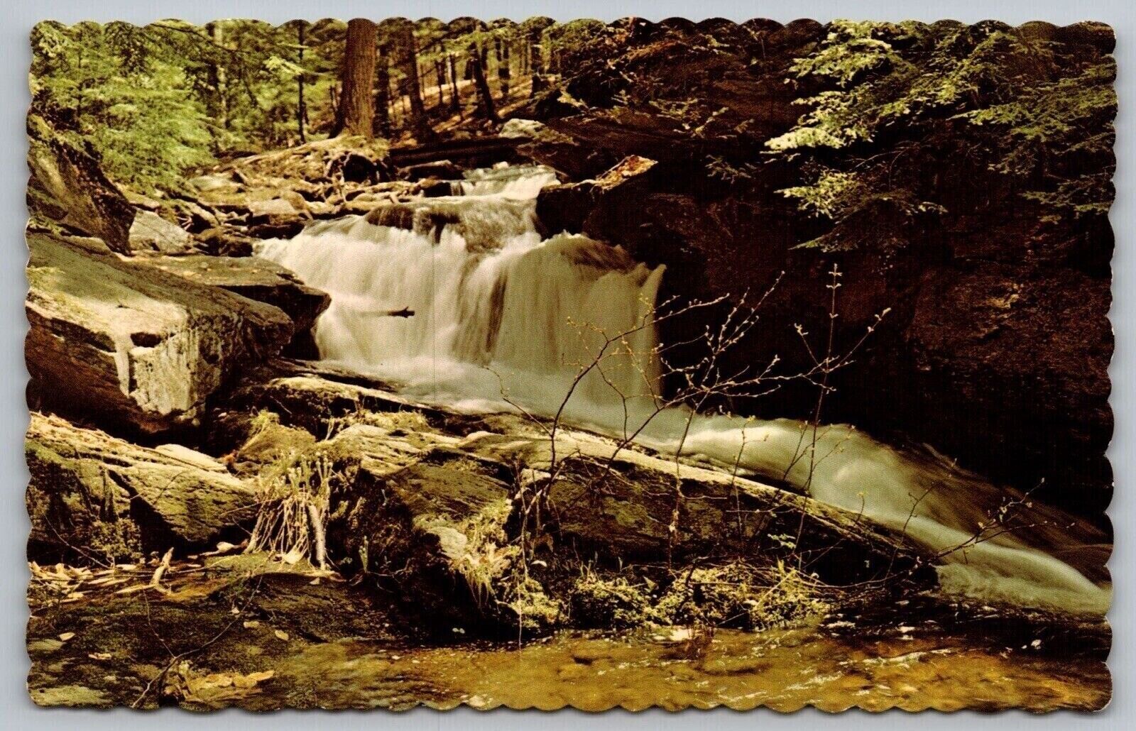 Chesterfield Gorge New Hampshire N H Photo By Carlton Allen Unp Postcard