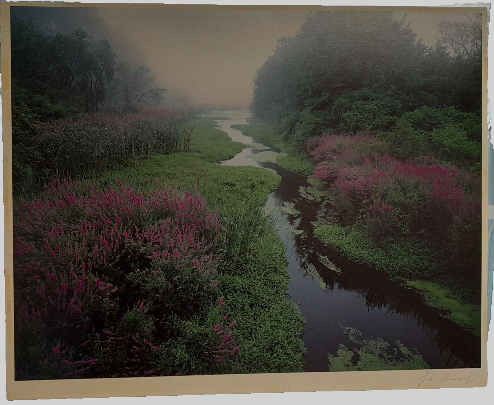 photo poster signed by photographer artist LANDSCAPE CREEK / BROOK & FLOWERS