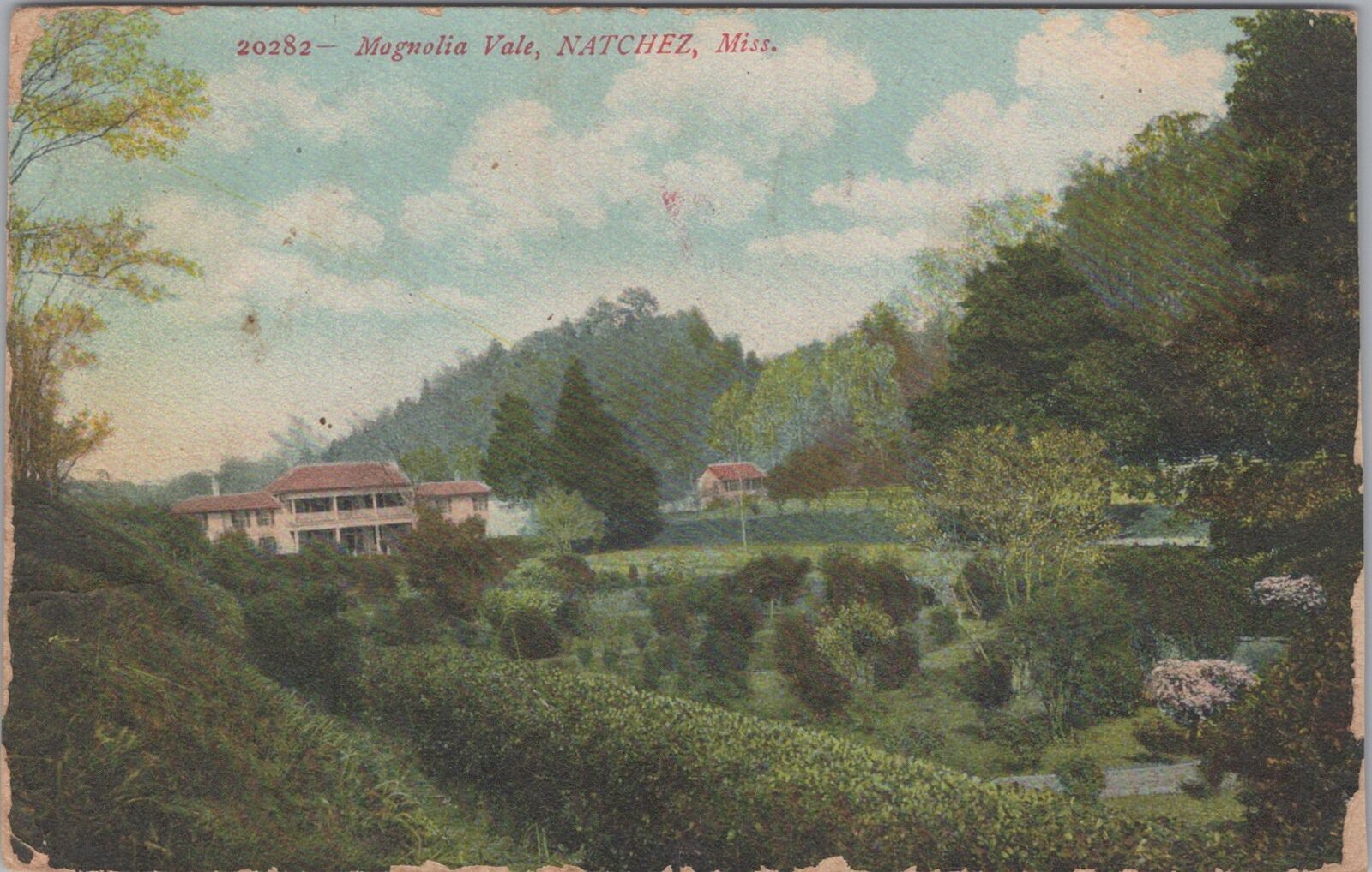 Magnolia Vale, Natchez Mississippi 1908 Postcard
