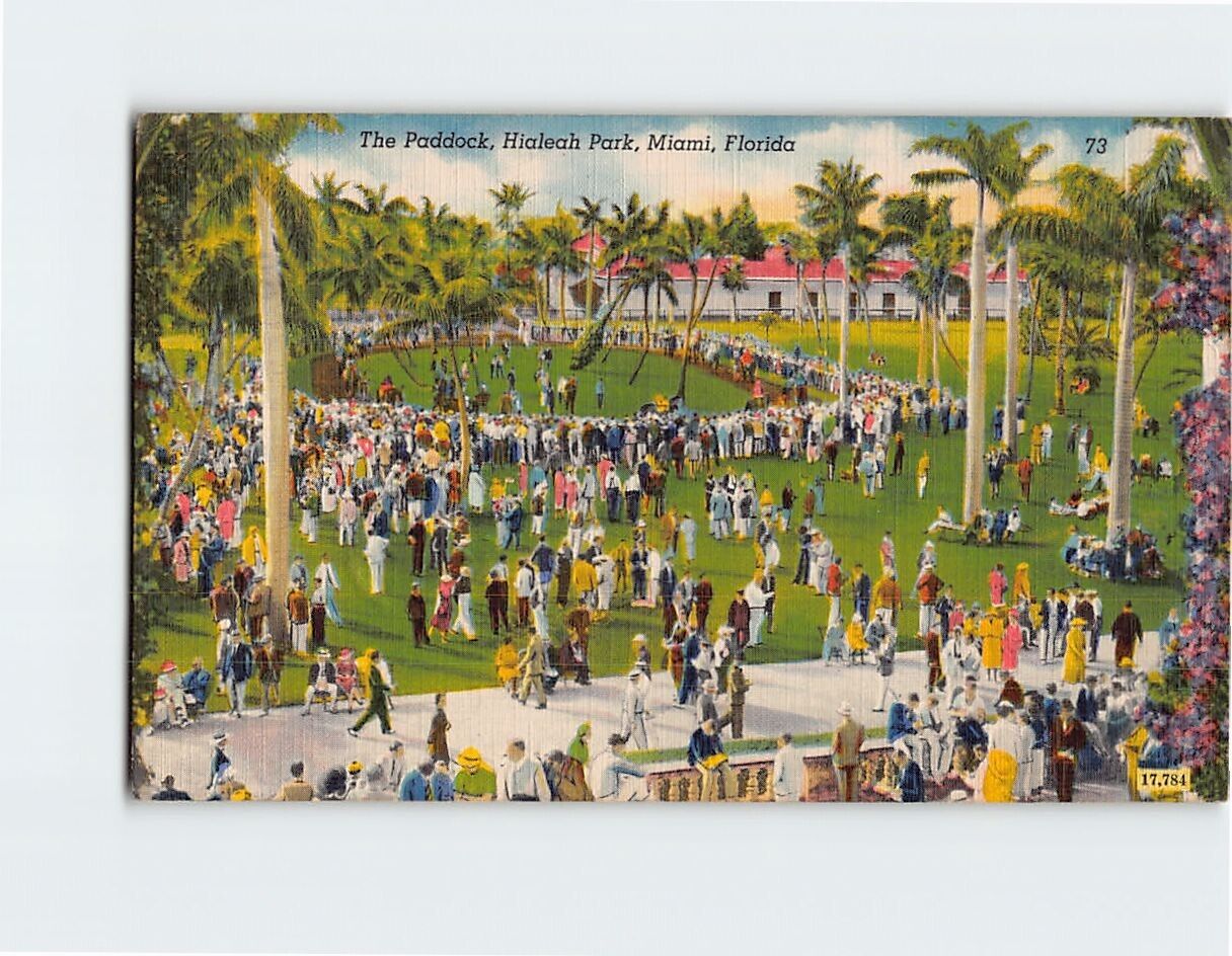 Postcard The Paddock, Hialeah Park, Miami, Florida
