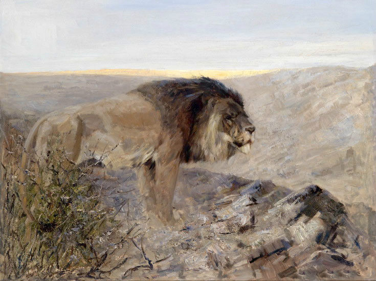 Oil painting wild animals King of beasts lions on the mountains landscape canvas