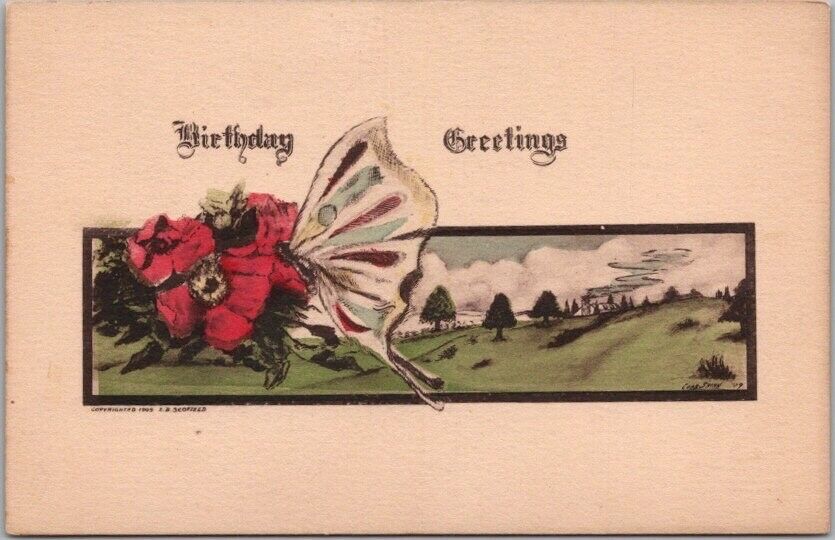 c1900s BIRTHDAY GREETINGS Hand-Colored Postcard BUTTERFLY / Poppy Flower UNUSED