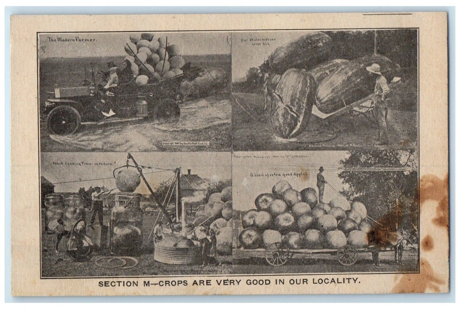 c1910's Section M Crops Are Very Good In Locality Multiview Antique Postcard