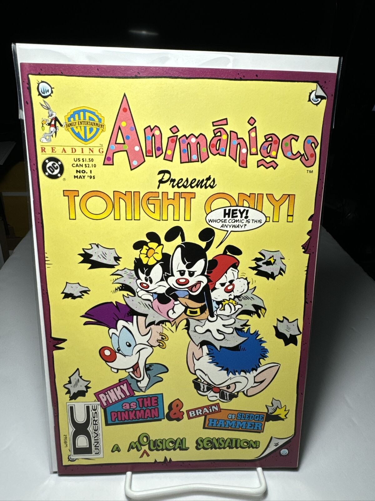 Animaniacs Presents Tonight Only #1 DC Universe Logo Variant 1995