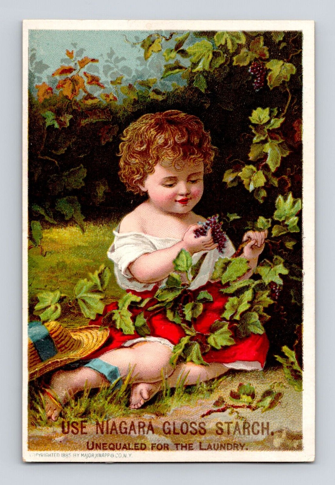Victorian Trade Card Niagara Gloss Starch Boy Grapes Major Knapp NY