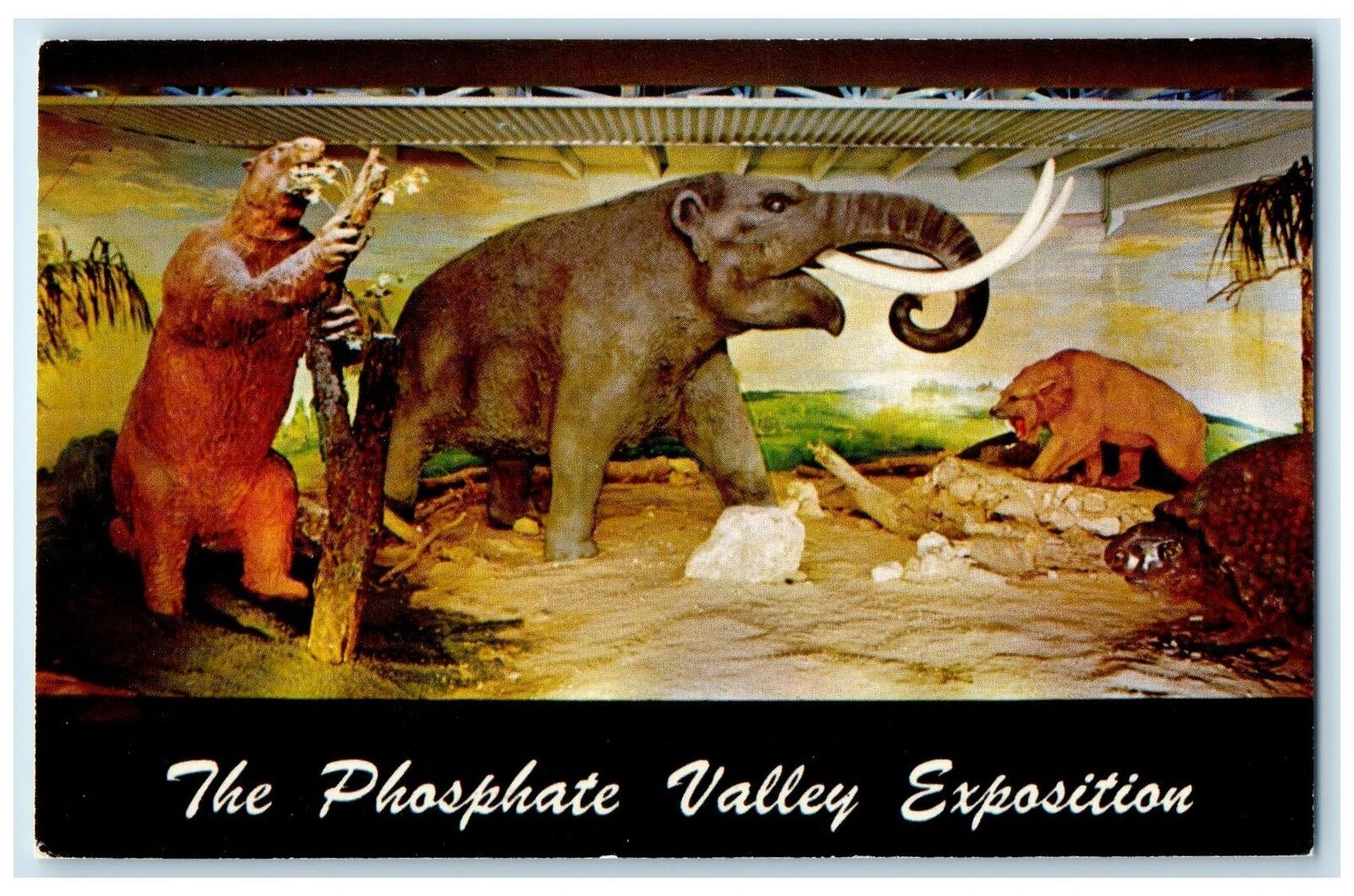 c1960 The Phosphate Valley Exposition Animal Bartow Florida FL Unposted Postcard