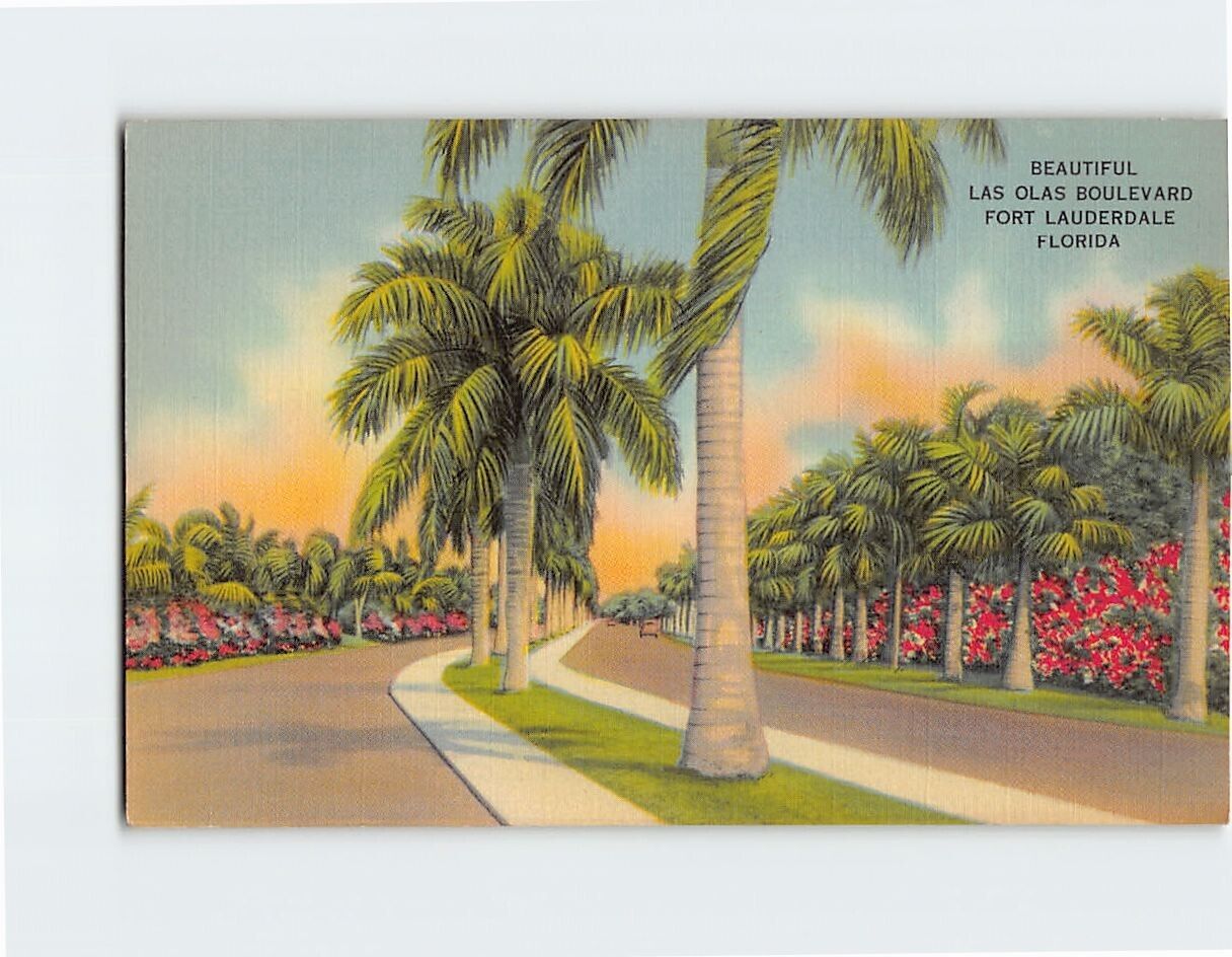 Postcard Beautiful Las Olas Boulevard Fort Lauderdale Florida USA