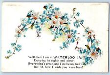Waterloo Iowa IA Postcard Greetings Embossed Daisy Flowers Leaves c1920s Antique picture