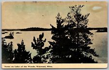 Warroad Minnesota c1910 Postcard Scene On Lake Of The Woods picture