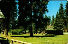 Warm Lake ID-Idaho, Warm Lake Lodge, Scenic, Vintage Postcard picture