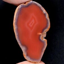59.00 Ct Natural Rare Botswana Agate Pear Slice Both Side Flat Loose Gemstone picture